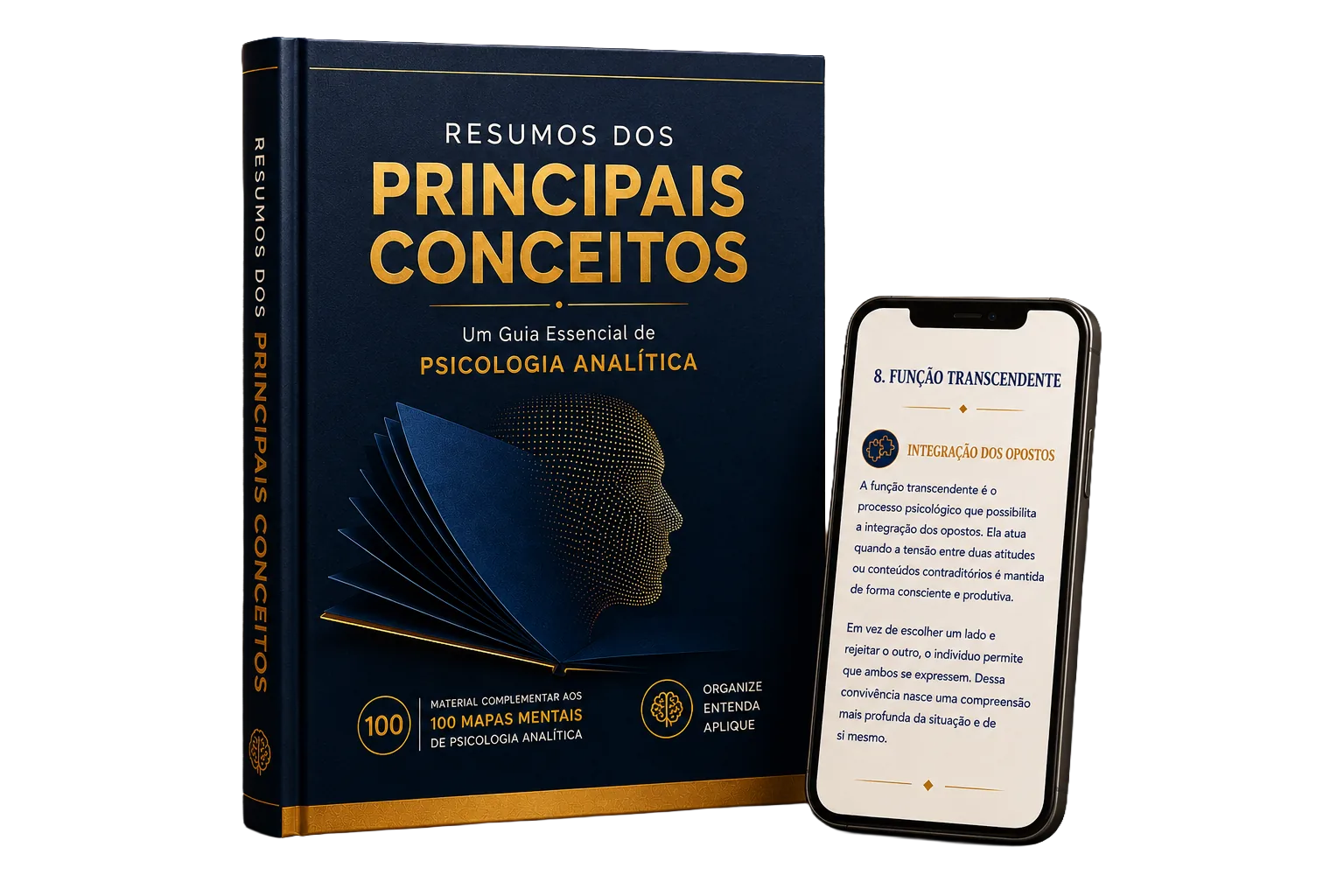 Bônus Exclusivo 1 — Resumos dos Principais Conceitos